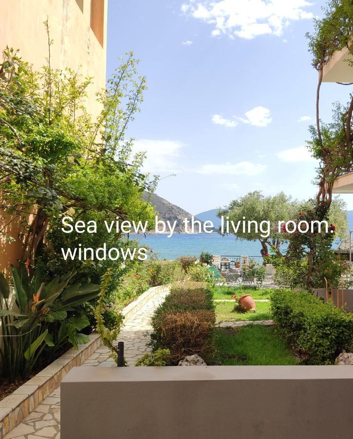 Waterside Apartments Agia Efimia Exterior photo